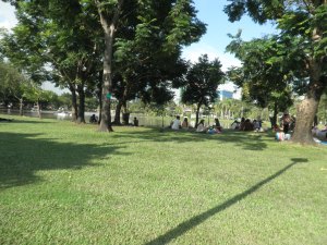 Enjoying the sun in the park, Bangkok