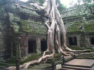 "Tomb Raider" temple at Angkor Wat
