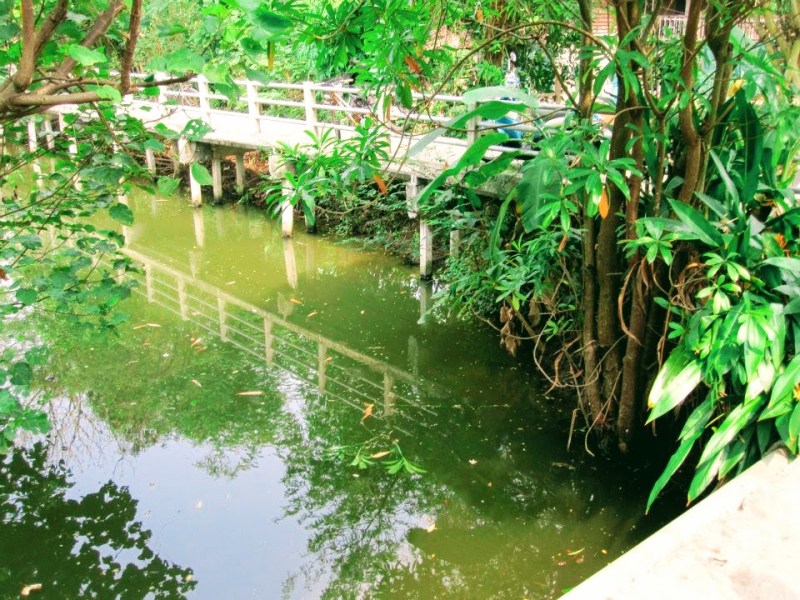 The day I fell into a swamp in Bangkok