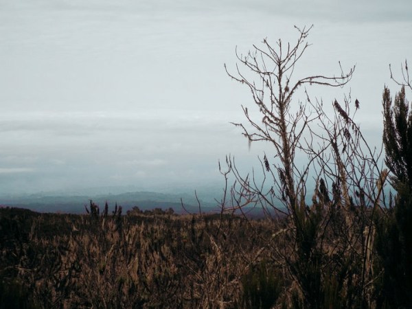 Kili Throwback Days 1 and 2