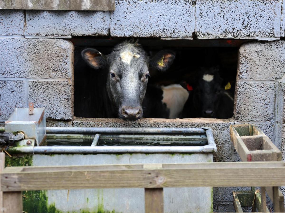 Vulnerability and Leadership: Why they should not be mutually exclusive